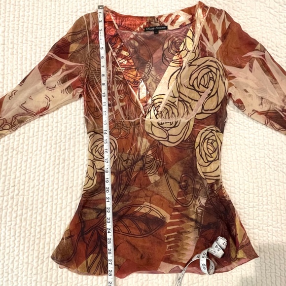 Simply Irresistible Sheer Plunge Neck Blouse - Picture 4 of 8